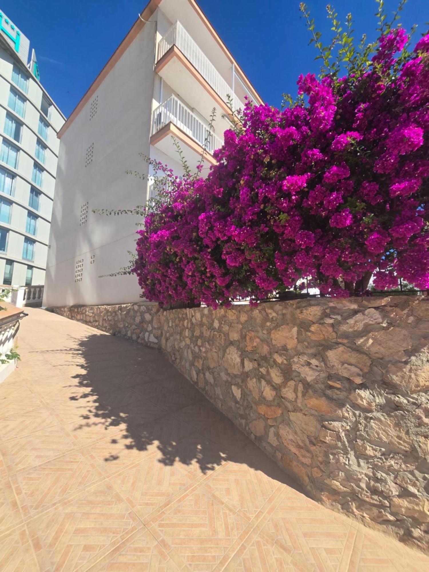 La Cantera Playa Apartment